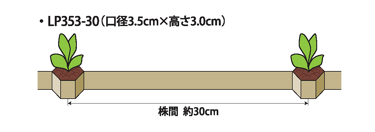 【多彩な作物生産支える関東の有力メーカー】日本甜菜製糖 作業効率向上に貢献 株間30cmのチェーンポット